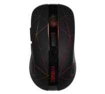 Mysz Evolveo WM430 ( WM430 ) Datora pele