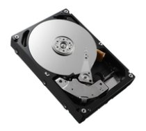 Dell HD 500GB ES 7.2 3.5 W-SU E/C Refurbished 5704174104384 ( 1KWKJ RFB ) SSD disks