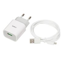iBOX C-41 universal charger with micro USB cable white ( ILUC41W ) iekārtas lādētājs