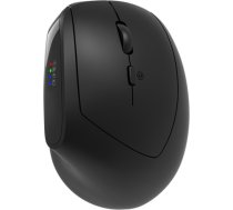 CANYON mouse MW-25 Ergonomic LED AA Dual mode Wireless Black ( CNS CMSW25 14763248 7562537 ) Datora pele