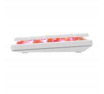 White Shark GK-006211 Nagamaki White-Mechanical-Red.SW 3858894506668 ( NAGAMAKI W US RED.SW ) klaviatūra