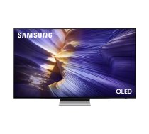 SAMSUNG TV OLED 48in QE48S90FAEXXH ( QE48S90FAEXXH 251090300 TVASA1LCD0765 [26398919] ) LED Televizors