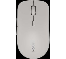 CANYON mouse MW-12 Dual band Wireless grey ( CNS CMSW12DG 14858403 ) Datora pele