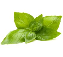 Click Grow Smart Garden refill Lemon Basil 3-pack ( 4742793001708 SGR76X3 )