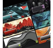 Sharkoon SKILLER SGK50 S3 Design Bundle D1 (graugrn/rot) ( 4044951039739 ) klaviatūra
