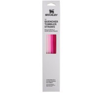 Salminu komplekts 4 gab. termokruzem The Quencher Travel Tumbler Straws 1 18L roza 1210001947375 ( 1210001947375 10-10573-047 ) termoss