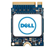 M.2 256 GB PCI Express SNP112233P/256G 5715063024003 ( SNP112233P/256G ) SSD disks