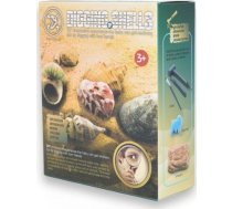 Mega Creative Muszle zestaw do kopania 129-28 12szt/disp 14077 14041018 (5908287014077) ( JOINEDIT63759506 )