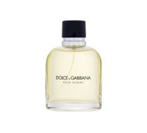 DolceGabbana Pour Homme Tualetes ūdens EDT 125ml 737052074450 (737052074450) Vīriešu Smaržas