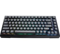 Ducky Tinker 75 Gaming-Tastatur RGB - MX-Speed Silver (ISO-DE) ( PKTI2383IST CPDEPDOECLAAW1 GATA-2531 ) klaviatūra
