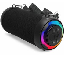 Denver BTG-213 portable/party speaker Black 10 W ( BTG 213 111151020880 ) pārnēsājamais skaļrunis