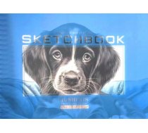Szkicownik A5/40K kolo gladki Piesek FRESH 646503 (6971901346907) ( JOINEDIT63648606 )