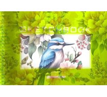 Szkicownik A5/40K kolo gladki Zimorodek FRESH 646488 (6971901346730) ( JOINEDIT63648603 )