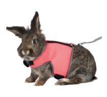 Trixie Rabbit Soft Harness With Leash neilona krūšu siksna trušiem ar pavadu, regulējama, 25–32 cm, 1,20 m | 4011905615134 | 104877