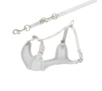 Trixie H-Harness ar pavadu, mīksta sieta materiāla, regulējama, suņiem un kucēniem, M–L: 36–50 cm/10 mm, 2 m, gaiši pelēka | 4011905155708 | 113567