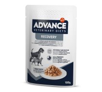 Advance Veterinary Diets Dod & Cat Recovery 100 gr - Pilnvērtīga Diētiskā Barība, Konservi Suņiem Un Kaķiem Atveseļošanas Procesā