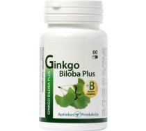 Ginkgo Biloba Plus, N60