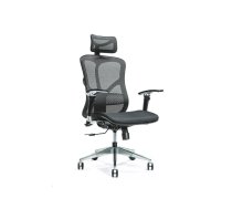 Ergonomic office chair ERGO 500 black