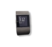 Fitbit Surge large