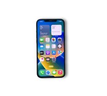 Apple iPhone 12 Pro Max A2411 256GB