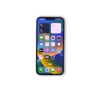 Apple iPhone 13 Pro Max A2643 256GB