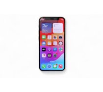 Apple iPhone 12 mini (A2399) 64GB