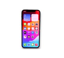 Apple iPhone 12 Pro A2407 256GB