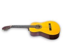 Guitar Classic MSA C22