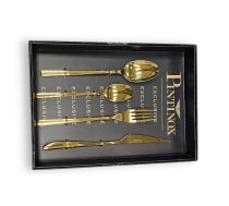 Pintinox Exclusive 24gb