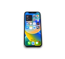 Apple iPhone 12 Pro A2407 128GB