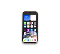 Apple iPhone 12 mini A2399 64GB