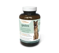 Canifelox Gastro Dog - Papildbarība Suņiem Gremošanas Trakta Atbalstam (Pulveris) 120 g
