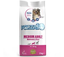 Forza 10 Medium Adult Maintenance - Sausā barība suņiem (zivs) 2 kg