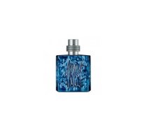 Cerruti 1881 Silver Night EDP (Man, 100ml) | | 5050456006175