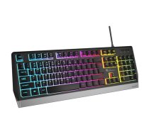 GENESIS Gaming keyboard Rhod 300 RGB | NKG-1528 | 5901969420999 | UKNATRGPGEN0027
