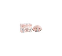 KENZO World Fantasy Collection EDT (Woman, 50ml) | 3274872385238