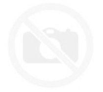 Filtrs ASP 15 putekļu sūcējam, Scheppach 7907702709