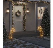 Ziemassvētku Gaismas Dekors, Zvaigzne, 80 Led, 62 Cm Vidaxl 8721012118300