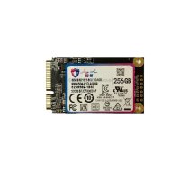 JingHai 1.8 inch mSATA Solid State Drive, Flash Architecture: MLC, Capacity: 256GB