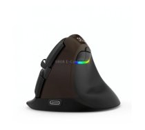 DELUX M618Mini Colorful Wireless Luminous Vertical Mouse Bluetooth Rechargeable Vertical Mouse(Elegant black)