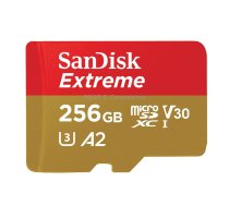 SanDisk U3 High-Speed Micro SD Card TF Card Memory Card for GoPro Sports Camera, Drone, Monitoring 256GB(A2), Colour: Gold Card