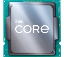Intel S1200 CORE i9 11900K TRAY 8x3,5 125W GEN11 CM8070804400161