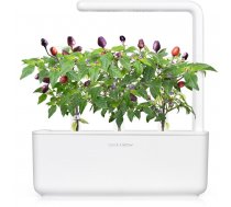 Click & Grow gudrā augu dārza uzpilde Violetais čili pipars 3gb. 4742793008745