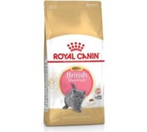 Royal Canin British Shorthair Kitten cats dry food 400 g Adult Poultry