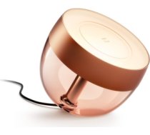 Philips Hue Iris Portable lamp, Copper special edition 8719514411586