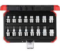 Gedore Red Socket set 1/2 ", Torx, 16 pieces (red / black, E10 - T70) 3300009