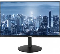 TARGUS 23.8inch Secondary Full HD Monitor Dock with DP DM4240SEUZ