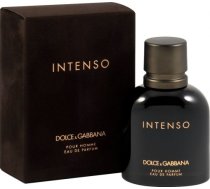 Dolce & Gabbana Intenso Pour Homme EDP 75 ml 737052783574