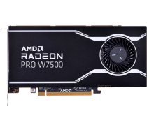 Karta graficzna AMD Radeon Pro W7500 8GB GDDR6, 4x DisplayPort 2.1, 70W, PCI Gen4 x8 100-300000078