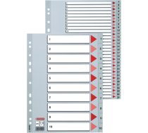 Sadalītājs dokumentiem Esselte A4 formāts, 1-31, plastikāta 150-00248